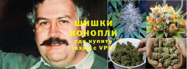 дурь Алексеевка