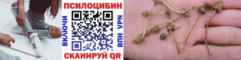 ОМГ ОМГ зеркало  Алупка  Псилоцибиновые грибы ЛСД 
